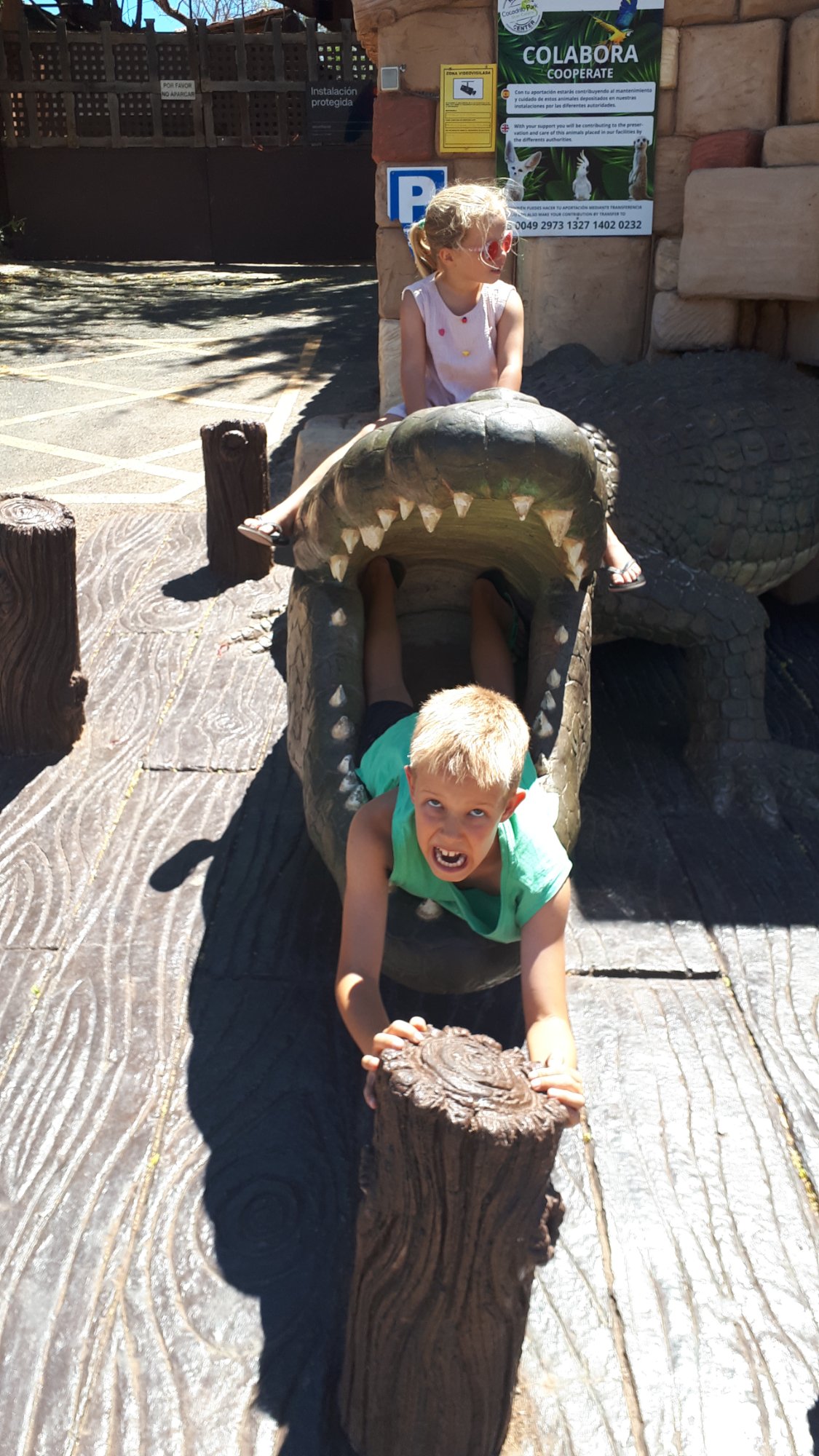 Kids playing on a crocodile sculpture at Cocodrilo Park Gran Canaria