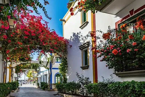 Colourful bougainvillea-lined streets and white houses in Puerto de Mogán village