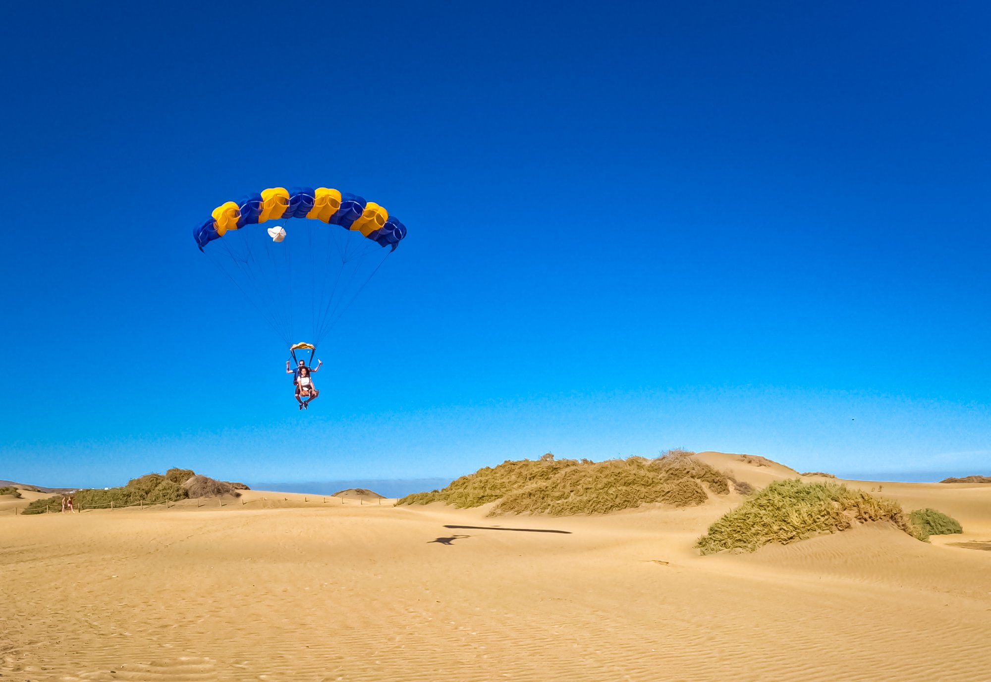 Skydiver landing with blue and yellow parachute on the golden Maspalomas dunes