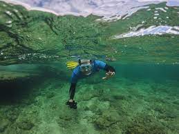 Snorkeller exploring clear shallow waters along the Gran Canaria coast